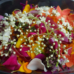 Flower Confetti – Aggie Global Fiji