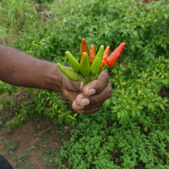 Fijian Easter Basket